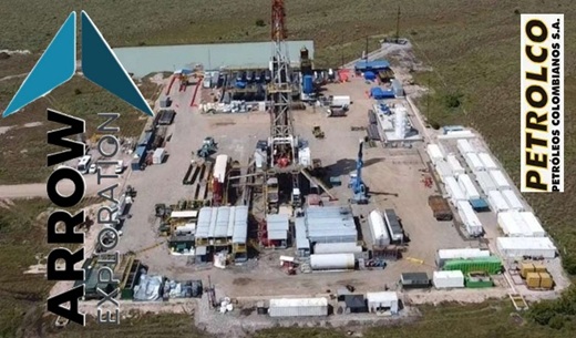 Arrow y Petrolco están en conversaciones con Ecopetrol para obtener las prórrogas para sacar crudo del Bloque Tapir en los Llanos