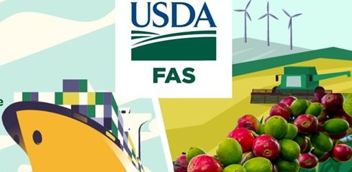 Se espera que la producción colombiana de café disminuya en 700.000 sacos, hasta los 12,5 millones, en 2025/2026