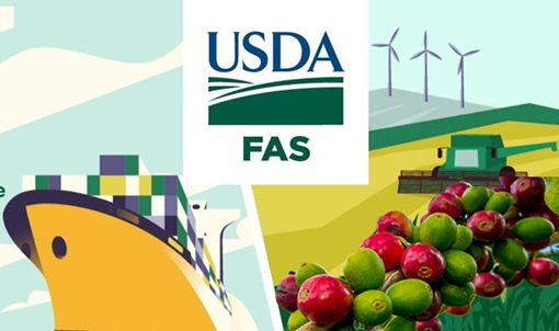 Se espera que la producción colombiana de café disminuya en 700.000 sacos, hasta los 12,5 millones, en 2025/2026