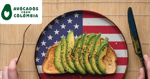Marca “Avocados from Colombia” entró al mercado de E.U.: exportaciones más que doblaron en el primer semestre