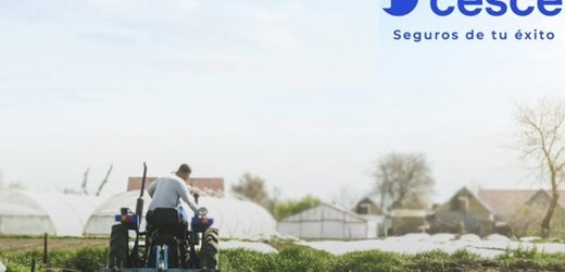 Cesce Colombia, con US$46 millones y 27% de participación en negocio de seguros de crédito