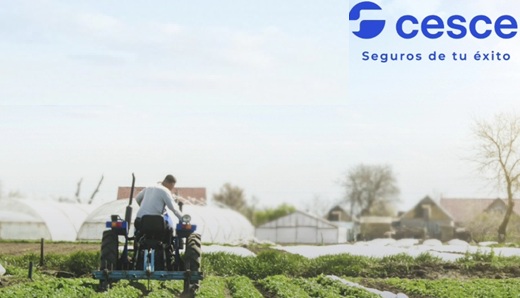 Cesce Colombia, con US$46 millones y 27% de participación en negocio de seguros de crédito