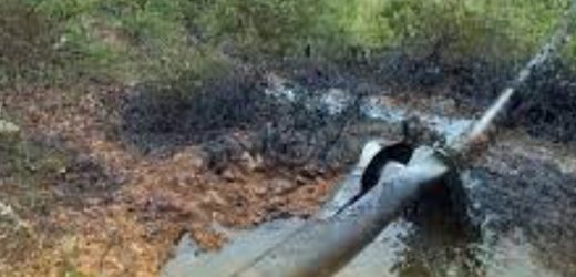 Ataque con explosivos obligó a suspender bombeo de petróleo por el Oleoducto Caño Limón-Coveñas
