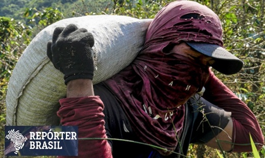 El café colombiano no ofrece condiciones justas de trabajo: alojamientos precarios, largas jornadas laborales e informalidad en la cosecha del grano