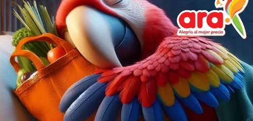En primer semestre del 2025, ventas combinadas de tiendas colombianas Ara y Bodega del Canasto crecieron 15,6%, frente a igual periodo del 2024