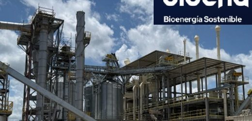 Con inversión por US$100 millones, inició producción en Colombia planta de pellets de madera para exportación de Bioena (de Ashmore) 