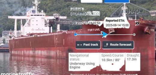 El buque con carbón denunciado por Petro y el ministro Sanguino resultó llevar cargamento de la Drummond: activistas piden a Malta que lo devuelva a Colombia