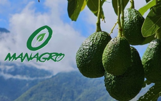 Fresh Del Monte pacta alianza con la colombiana Managro, que incluye la expansión de una planta de empaques de aguacate y limones