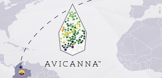 Avicanna logró primera exportación de flor de cannabis con predominio de CBD no psicoactivo desde Santa Marta hasta Suiza