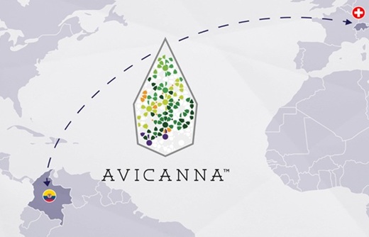 Avicanna logró primera exportación de flor de cannabis con predominio de CBD no psicoactivo desde Santa Marta hasta Suiza