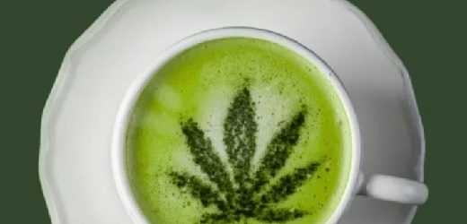 El Gobierno presentó a discusión un decreto que permitirá la venta de flor de cannabis psicoactivo en farmacias con fórmula médica