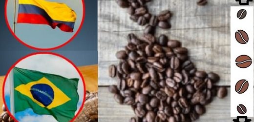 Federación de Cafeteros pide monitoreo sobre denuncias de que café brasileño se envía a través de Colombia (triangulación) para evitar aranceles del 50% de Trump
