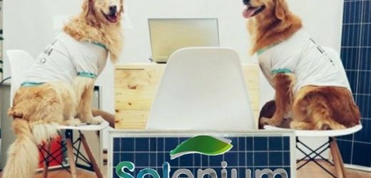 Con inversión por $60.000 millones, “startup” Solenium iniciará en octubre construcción de primeras 15 pequeñas granjas solares en Colombia