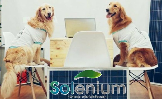 Con inversión por $60.000 millones, “startup” Solenium iniciará en octubre construcción de primeras 15 pequeñas granjas solares en Colombia