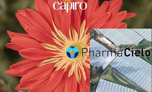 PharmaCielo vendió por $26 mil millones vivero de cannabis en Carmen de Viboral y pagó $6.129 millones al Banco Agrario que le perdonó $900 millones