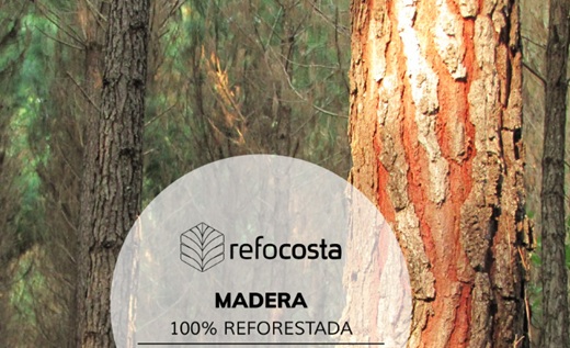 EDF Power Solutions y Refocosta pusieron en marcha la planta de biomasa de madera en Villanueva, Casanare