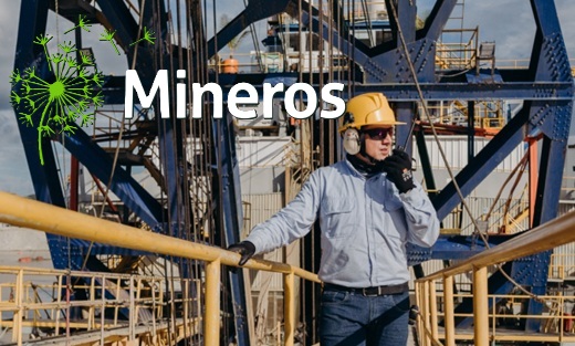 Mineros acelera trabajos en el proyecto La Pepa en Chile y nombra a Rafael Casas Plata para asumir la dirección