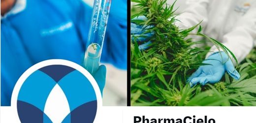 La negociación de las acciones de PharmaCielo se reanudará en la Bolsa de Valores de Toronto: pérdidas acumuladas superan los US$155 millones