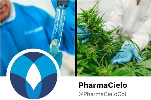 La negociación de las acciones de PharmaCielo se reanudará en la Bolsa de Valores de Toronto: pérdidas acumuladas superan los US$155 millones