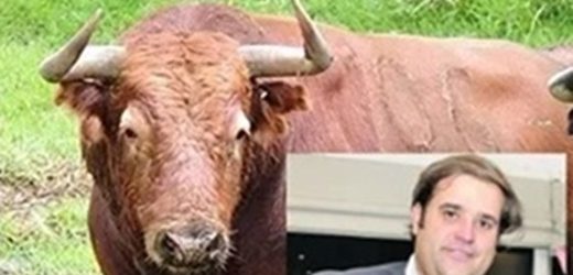 Levantada intervención a Achury Viejo y a María Francisca Medina de Rocha, madre de Felipe Rocha, eje de la pirámide ganadera 