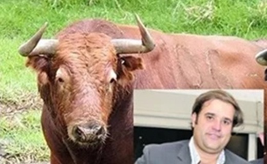 Levantada intervención a Achury Viejo y a María Francisca Medina de Rocha, madre de Felipe Rocha, eje de la pirámide ganadera