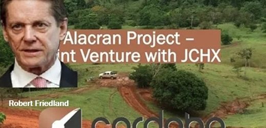 La china Naipu renunció a comprar por US$150 millones el 22,5% de la que se anunciaba como la mayor mina de cobre, Alacrán, en Córdoba, Colombia