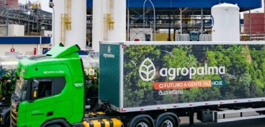 Colombiano Grupo Daabon adquirió el 100% de las operaciones de la productora de aceite de palma Agropalma en Pará, Brasil