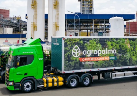 Colombiano Grupo Daabon adquirió el 100% de las operaciones de la productora de aceite de palma Agropalma en Pará, Brasil