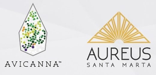Santa Marta Golden (de Avicanna) completó su primera exportación de flor de cannabis (CBG) a Australia