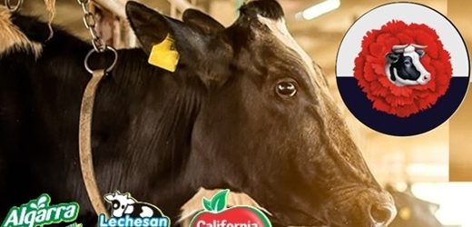 Peruana Gloria suspendió su operación láctea en Colombia, cerró la planta en Cogua y despidió a 150 trabajadores: no más leche Algarra ni Lechesán