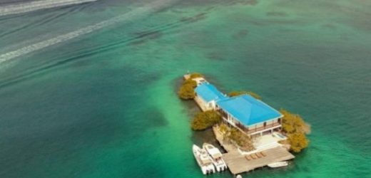 El empresario Andrés Jorge Lisocki Fryde pagaba solo $280 mil al mes por “Isla Fiesta” (de 600 m²), paraíso baldío en Islas del Rosario