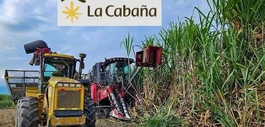 El Ingenio La Cabaña tiró la toalla y tras 82 años no va más: liderado por David Seinjet Neirus (con deudas por más de $1,2 billones), pidió la liquidación judicial