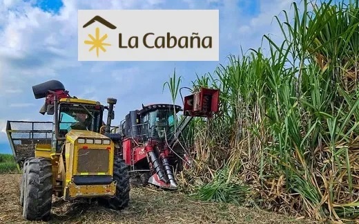 El Ingenio La Cabaña tiró la toalla y tras 82 años no va más: liderado por David Seinjet Neirus (con deudas por más de $1,2 billones), pidió la liquidación judicial