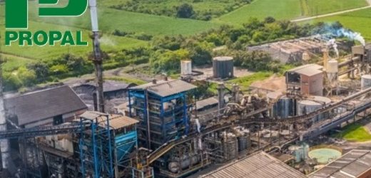La radiografía completa de la crisis de Propal: culpables las importaciones de bond con dúmping de Brasil, Portugal, China e Indonesia, y el dólar a $3.200