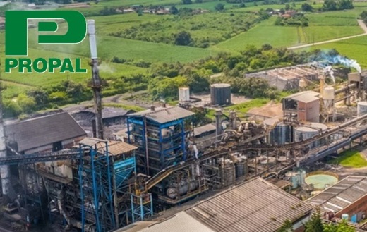 La radiografía completa de la crisis de Propal: culpables las importaciones de bond con dúmping de Brasil, Portugal, China e Indonesia, y el dólar a $3.200
