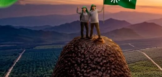 Grupo peruano Cerro Prieto (con fincas de aguacates en Antioquia y Caldas) invertirá US$200 millones en expansión de cultivos agrícolas 