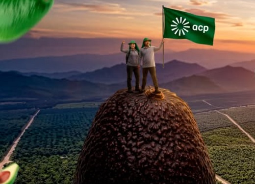 Grupo peruano Cerro Prieto (con fincas de aguacates en Antioquia y Caldas) invertirá US$200 millones en expansión de cultivos agrícolas 