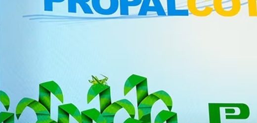 Propal (con deudas por $771.712 millones) también pidió liquidar sus filiales SuPapel y Papelfibras dentro del trámite de insolvencia