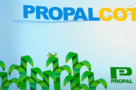 Propal (con deudas por $771.712 millones) también pidió liquidar sus filiales SuPapel y Papelfibras dentro del trámite de insolvencia