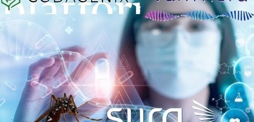 VaxThera, de Sura, consiguió hasta €35 millones del Banco Europeo de Inversiones y licencia para vacuna sintética contra la fiebre amarilla