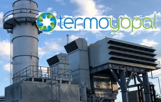 Dominicano Vicini (con inversiones en “cascada” en Termoyopal y La Fazenda) concretó compra de nueve plantas eléctricas y solares de Isagen 